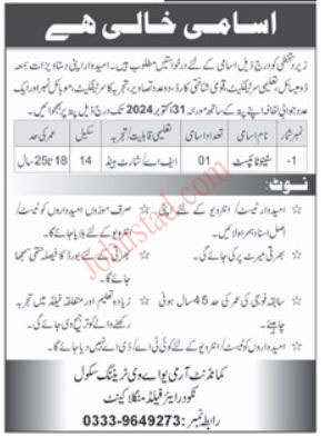 New-Stenotypist-Jobs-in-Mangla-October-2024.