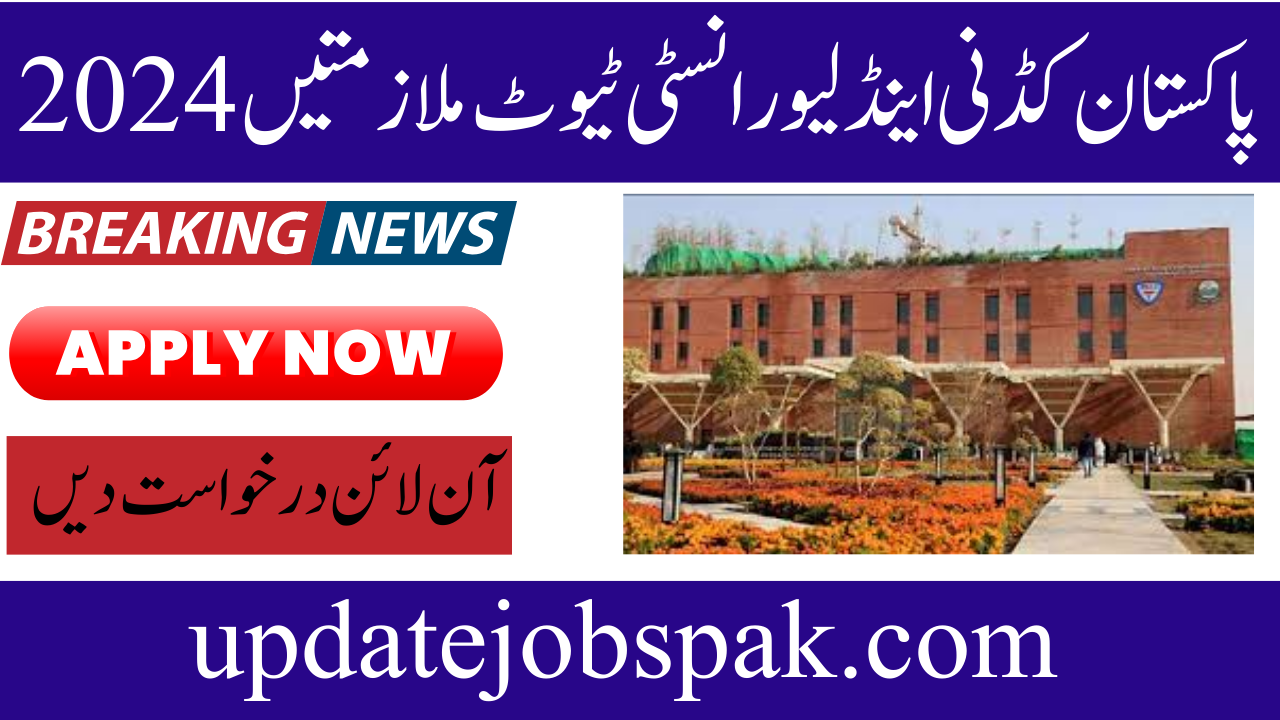 PKLI Jobs 2024