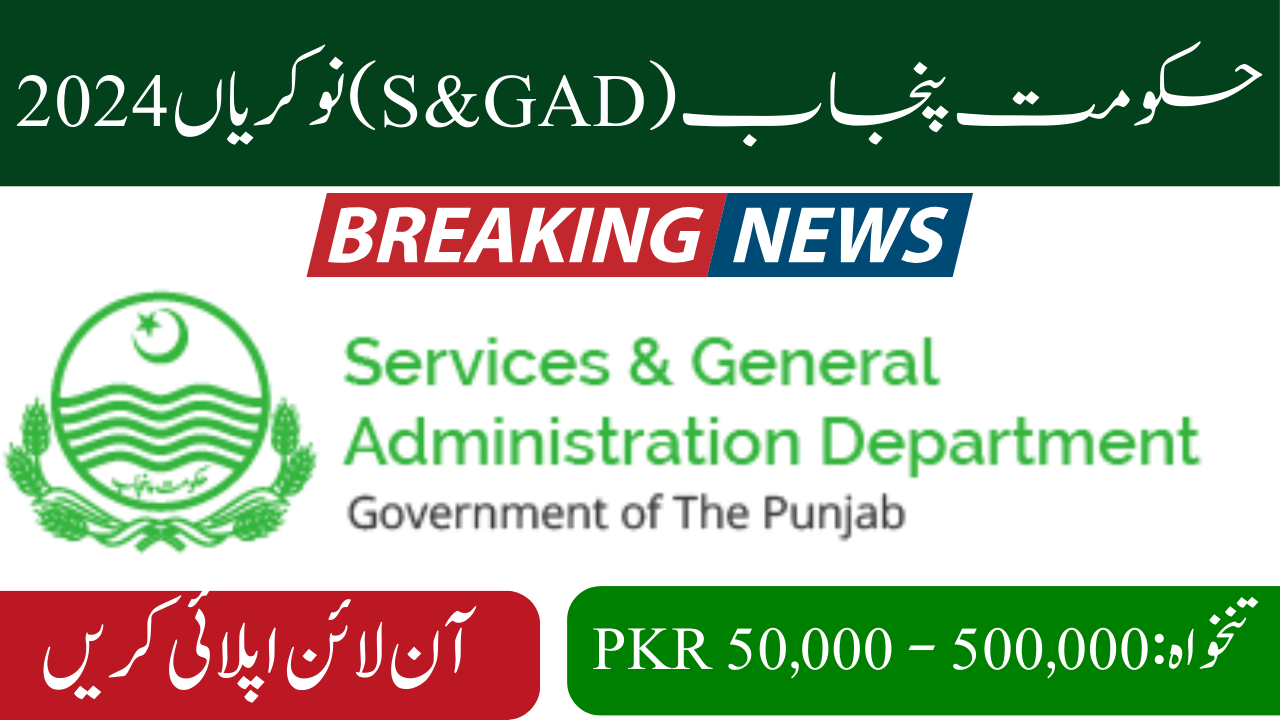 Government of Punjab (S&GAD) Jobs 2024